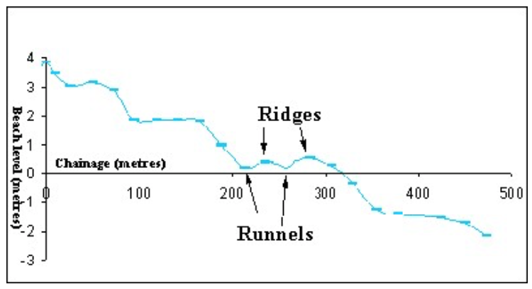 Beach profile containing ridges and runnels