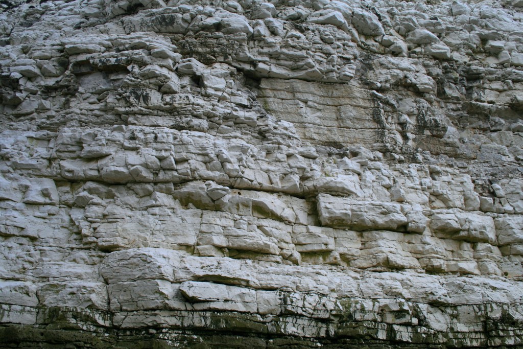 Bedding planes and joints in the chalk cliffs at Flamborough. 