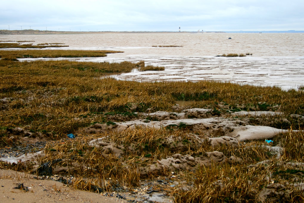 Salt Marsh behind Spurn Point